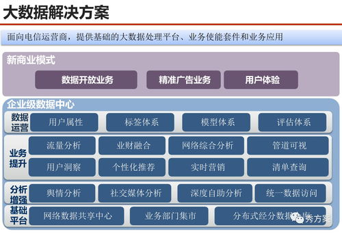 數(shù)據(jù)場景 服務(wù)型集團(tuán)公司大數(shù)據(jù)應(yīng)用解決方案 PPT 范本與數(shù)據(jù)處理服務(wù)設(shè)計(jì)